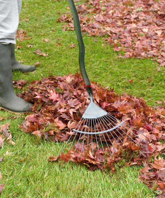 Gartenpflege | SauberkeitPlus+